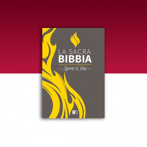 BIBBIA SPIRITO E VITA R2 Cartonata grigio/giallo - libricristiani.it